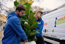 Photo of Hamal.md – Hamali profesioniști și transport rapid în Chișinău și toată R. Moldova