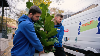 Photo of Hamal.md – Hamali profesioniști și transport rapid în Chișinău și toată R. Moldova