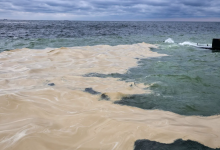 Photo of Poluare în Marea Neagră după bombardamentele rusești. Zeci de păsări moarte au fost scoase din apă