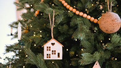 Photo of De la alegere până la la întreținere: sfaturi pentru un brad de Crăciun verde