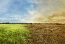 Photo of Sute de cetățeni japonezi dau în judecată statul pentru lipsa măsurilor climatice