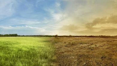 Photo of Sute de cetățeni japonezi dau în judecată statul pentru lipsa măsurilor climatice