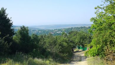 Photo of Cel mai înalt punct din R. Moldova va avea drum betonat și zonă de agrement