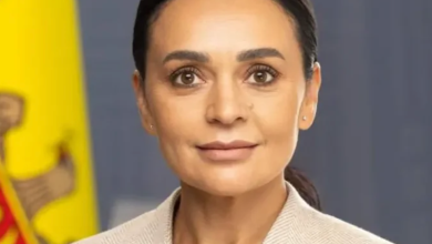 Photo of ANI a inițiat controlul averii în cazul deputatei Elena Grițco