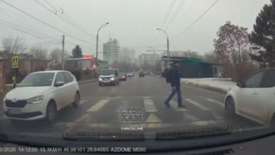 Photo of video | O șoferiță a fost sancționată după ce nu a acordat prioritate unui pieton. Poliția s-a autosesizat