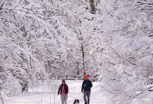 Photo of Alertă meteo: furtuna de iarnă care ar putea afecta 120 de milioane de oameni