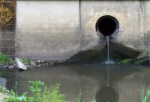 Photo of Administrator din Anenii Noi, trimis în judecată pentru poluarea râului Bâc