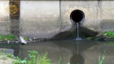 Photo of Administrator din Anenii Noi, trimis în judecată pentru poluarea râului Bâc