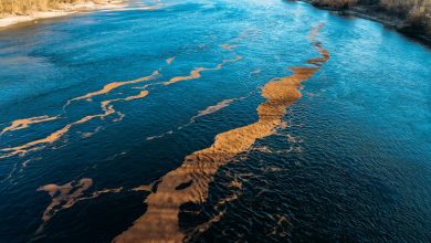 Photo of Marta Kos, după poluarea Nistrului: „Comisia Europeană e pregătită să ofere sprijin”