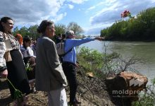 Photo of Premieră istorică: R. Moldova și România vor planta pădure simultan pe ambele maluri ale Prutului