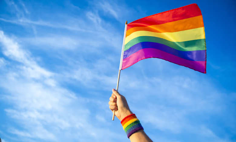 Photo of O tânără LGBT susține că ar fi fost percheziționată și șantajată de polițiști. Oamenii legii au o altă versiune