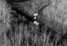 Photo of video | 11 taximetriști reținuți într-o schemă de migrație ilegală a ucrainenilor