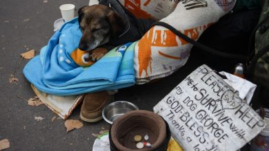 Photo of „Încalcă dreptul”: Consiliul Europei critică interzicerea cerșetoriei în unele orașe din Franța