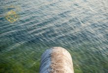 Photo of Procuratura Generală s-a autosesizat pe cazul poluării Nistrului