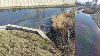 Photo of video | Intervenție de urgență pe râul Bîc, după apariția unor pete de ulei. Detalii de la autoritățile locale și centrale