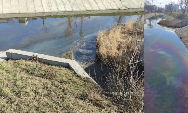 Photo of video | Intervenție de urgență pe râul Bîc, după apariția unor pete de ulei. Detalii de la autoritățile locale și centrale