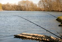 Photo of Ministrul Mediului avertizează moldovenii înainte de Florii: Peștele din Nistru nu este sigur pentru consum