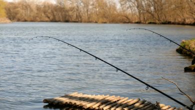 Photo of Ministrul Mediului avertizează moldovenii înainte de Florii: Peștele din Nistru nu este sigur pentru consum