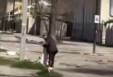 Photo of video | Caz de cruzime față de animale la Bălți: Un bărbat, cercetat penal