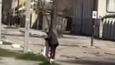 Photo of video | Caz de cruzime față de animale la Bălți: Un bărbat, cercetat penal