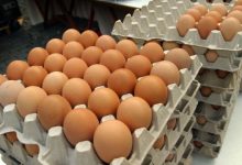 Photo of Ouăle din comerț vor fi clasificate după calitate și greutate