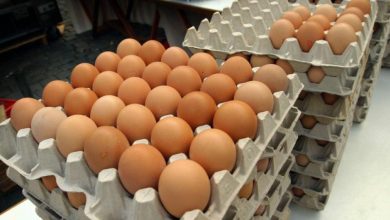 Photo of Ouăle din comerț vor fi clasificate după calitate și greutate