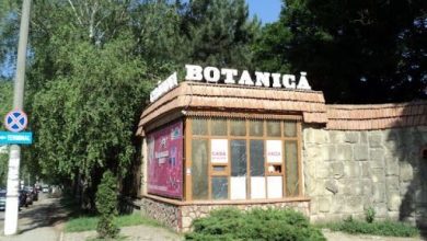 Photo of Deficiențe grave depistate la Grădina Botanică, după un audit. Raportul ajunge la CNA