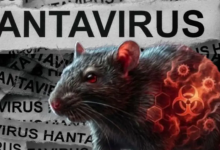 Photo of Ministrul Sănătății, despre hantavirus: „Nu există motive de panică pentru cetățeni”