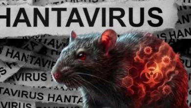 Photo of Ministrul Sănătății, despre hantavirus: „Nu există motive de panică pentru cetățeni”