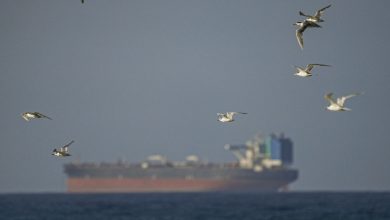Photo of „Proiectul Libertate”: Trump spune că SUA vor ajuta navele blocate în Strâmtoarea Ormuz