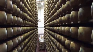 Photo of Parmezanul devine monedă de schimb în Italia: O bancă oferă împrumuturi cu brânză. Cum funcționează
