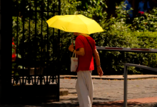 Photo of 1.000 de decese suplimentare în Franța, pe fondul valului de căldură fără precedent