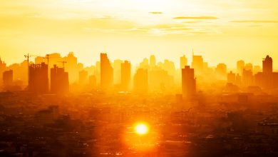 Photo of Avertismentul Organizației Meteorologice Mondiale privind impactul valului de caldură: „Trebuie să ne obișnuim”