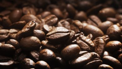 Photo of Cea mai scumpă cafea din lume ar putea declanșa următoarea pandemie, avertizează experții