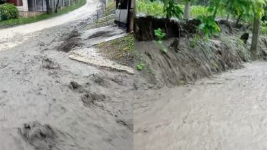 Photo of video, update | Inundații puternice la Pepeni. Primarul: „Nu am mai văzut așa ceva de zeci de ani”