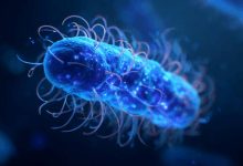 Photo of Suspiciune de Salmonella la un hotel din capitală. Aproximativ 13 persoane sunt internate