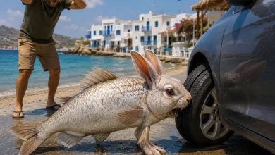 Photo of Panică în jurul „peștelui-iepure”. Cum s-a transformat o problemă a pescarilor într-o sperietoare pentru vacanțele din Grecia