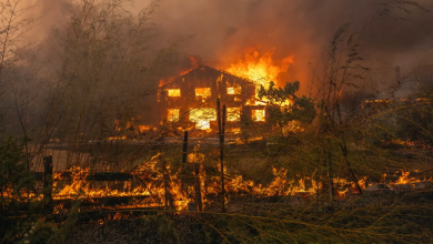 Photo of Spania și Franța se pregătesc de un nou val de căldură, în timp ce incendiile de vegetație fac ravagii