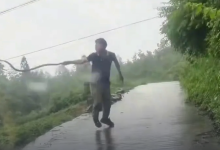 Photo of video | Invazie de șerpi veninoși într-un oraș din China: reptilele au fost filmate pe străzi și prin ape