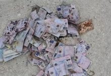 Photo of video | Sute de documente asemănătoare permiselor românești, găsite la o groapă de gunoi din R. Moldova. Autoritățile din România anunță verificări