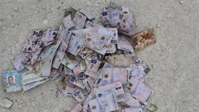 Photo of video | Sute de documente asemănătoare permiselor românești, găsite la o groapă de gunoi din R. Moldova. Autoritățile din România anunță verificări
