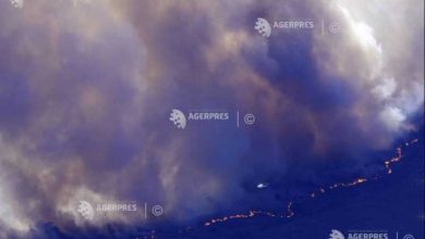 Photo of foto | Incendii scăpate de sub control în Spania și Franța. Peste 160.000 de persoane evacuate