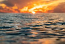 Photo of Oceanele lumii au înregistrat cea mai caldă lună iunie. Noi recorduri de temperaturi în 2026