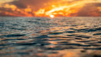 Photo of Oceanele lumii au înregistrat cea mai caldă lună iunie. Noi recorduri de temperaturi în 2026