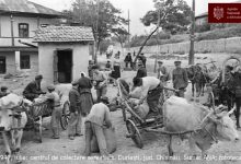 Photo of Foametea provocată de regimul sovietic ar putea fi declarată crimă împotriva umanității. Guvernul susține proiectul