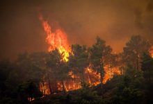 Photo of Primarul unui oraș din Grecia a fost arestat fiind considerat responsabil pentru incendiile devastatoare de pădure
