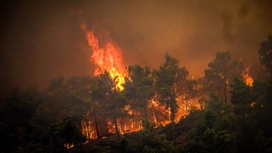 Photo of Primarul unui oraș din Grecia a fost arestat fiind considerat responsabil pentru incendiile devastatoare de pădure