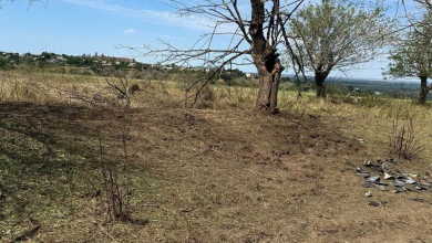 Photo of foto, update | Incendiu de vegetație după o explozie puternică la Ștefan Vodă. Au fost depistate fragmente de dronă-rachetă