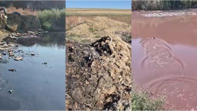 Photo of video | Comrat: Izvor poluat cu deșeuri și plastic ars la Comrat. Ce spune Inspectoratul de Mediu