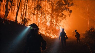 Photo of Europa se încălzește de două ori mai repede decât orice alt continent. Cele patru cauze care transformă continentul într-un „punct fierbinte”